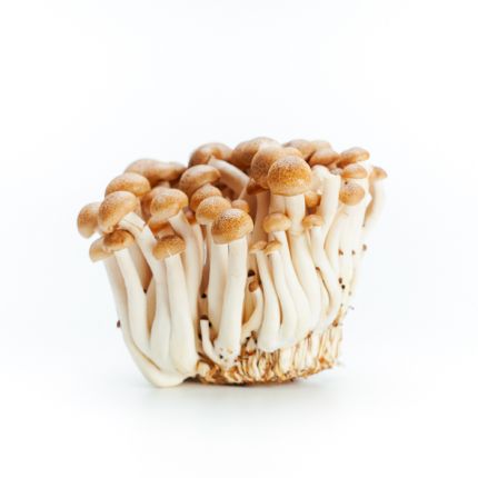 Brown Shimeji Mushroom 150gm