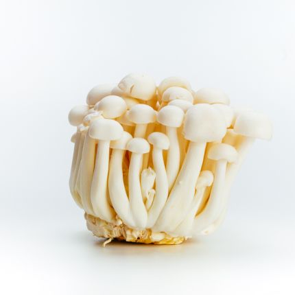 White Shimeji Mushroom 150gm